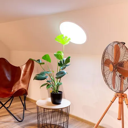 Soulscape Apartments Loft Zwickau Citycenter Mit Tg-Stellplatz, Magenta-Tv Und Klima Exterior foto